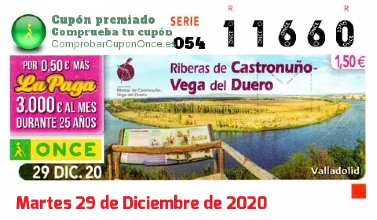 Cupón premiado en este sorteo