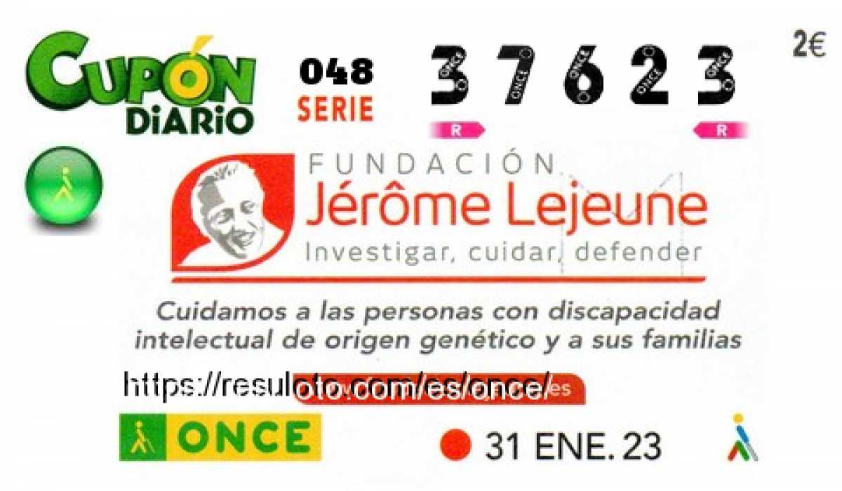 Cupón ONCE premiado el Martes 31/1/2023